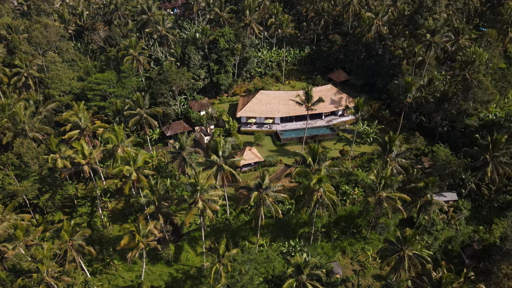 Villa Themma Jungle - Sumptuous 3Br Luxury Villa With Majestic Jungle View North Of Ubud Экстерьер фото