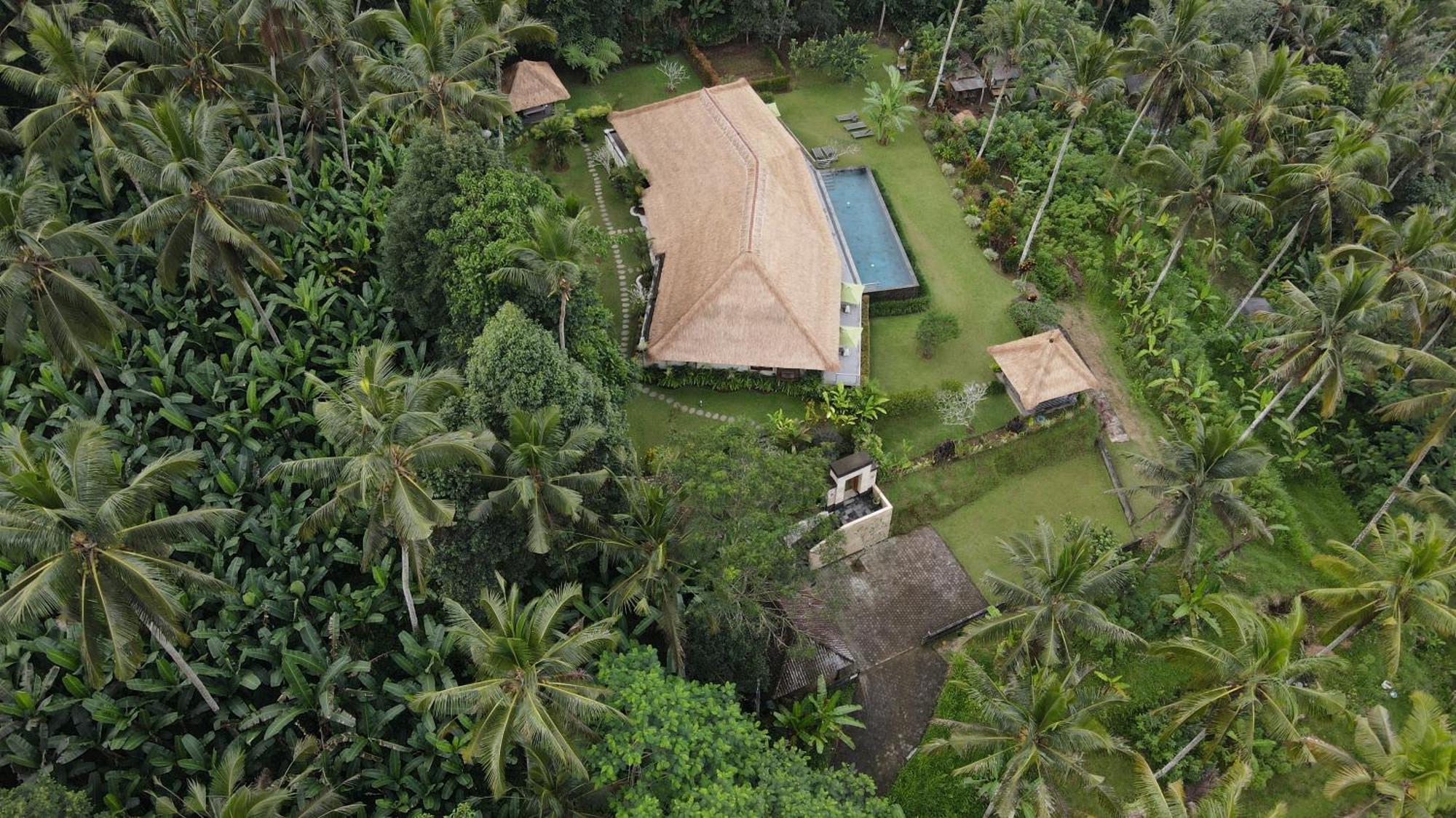 Villa Themma Jungle - Sumptuous 3Br Luxury Villa With Majestic Jungle View North Of Ubud Экстерьер фото